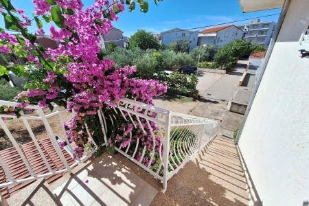 Vila Dana - 4