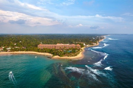 Hikka Tranz By Cinnamon (Ex. Chaaya Tranz) - 2