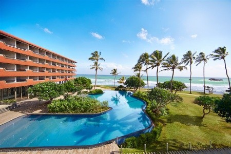 Hikka Tranz By Cinnamon (Ex. Chaaya Tranz) - 3