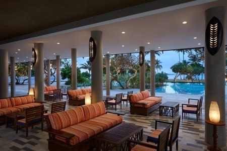 Hikka Tranz By Cinnamon (Ex. Chaaya Tranz) - 6