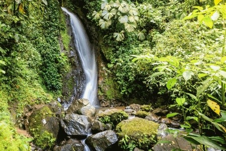 Kostarická odysea - od Pacifiku ke Karibiku