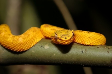 Kostarická odysea - od Pacifiku ke Karibiku - 3