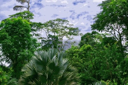 Kostarická odysea - od Pacifiku ke Karibiku - 5