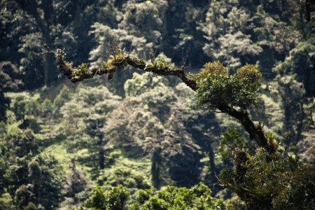 Kostarická odysea - od Pacifiku ke Karibiku - 15
