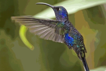 Kostarická odysea - od Pacifiku ke Karibiku - 17