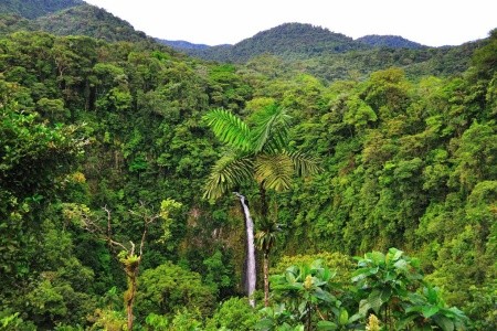 Kostarická odysea - od Pacifiku ke Karibiku - 23