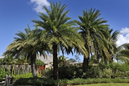 Maradiva Villas Resort & Spa - 4