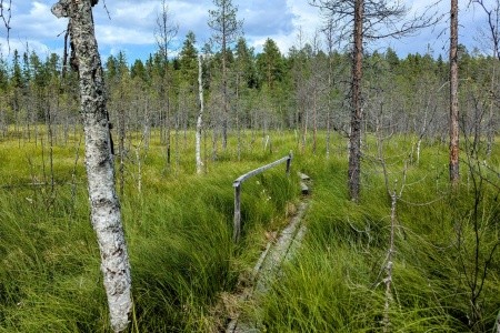 ROMANTICKÉ PUTOVÁNÍ FINSKOU DIVOČINOU - komfortně - 10