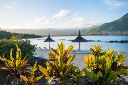 Sands Suites Resort & Spa - 7