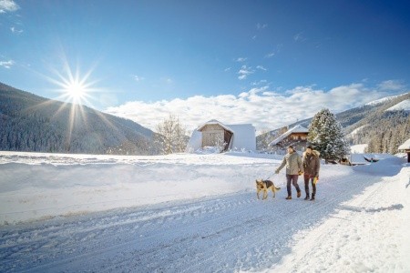 Ortners Eschenhof - 19