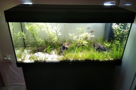 Apartmány 3298-4494 - 33