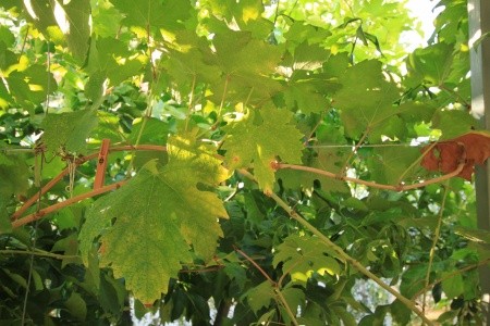 Apartmány 3298-2028 - 32