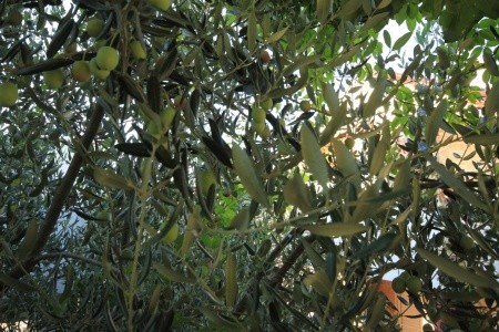 Apartmány 3298-2028 - 37