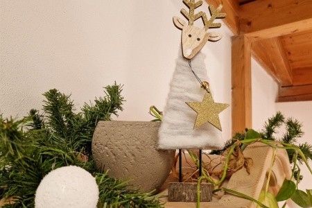 Ferien Vom Ich (Neukirchen (Niederbayern)) - 17