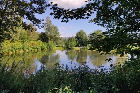 Ferien Vom Ich (Neukirchen (Niederbayern)) - 35