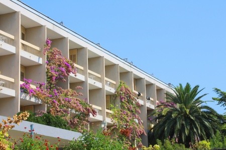 Alemaris (Ex. Alem) - 5