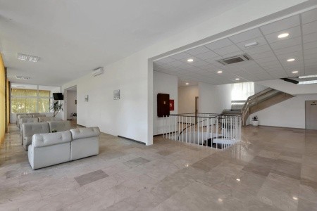 Alemaris (Ex. Alem) - 22