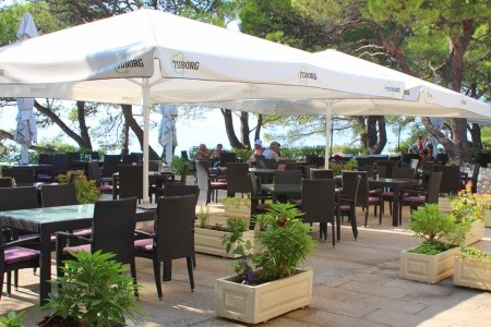 Alemaris (Ex. Alem) - 24