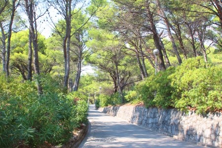 Alemaris (Ex. Alem) - 25