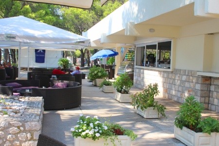 Alemaris (Ex. Alem) - 26