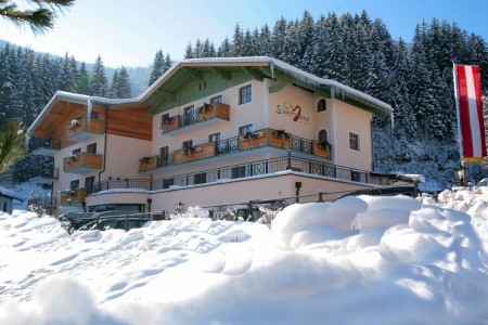 Der Schmittenhof (Zell Am See) - 1