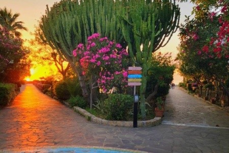 Calanovella Mare - 11