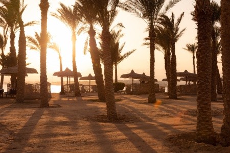 Palm Royale Resort Soma Bay - 97