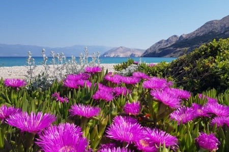 Brnič Apartmány - 7