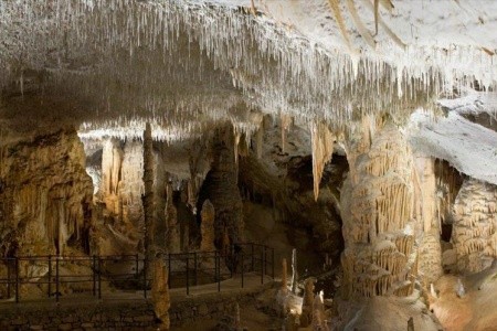 Krásy Slovinska s koupáním u moře - 11