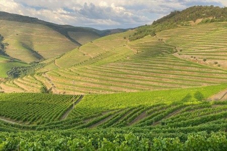 Porto a kouzelné údolí Douro - 4