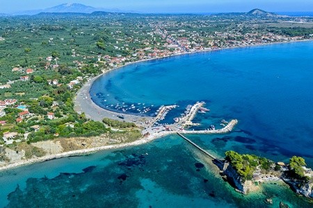 White Olive Elite - 11