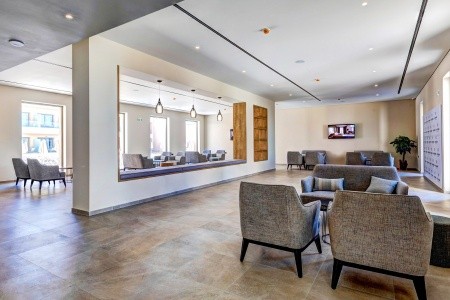 White Olive Elite - 12