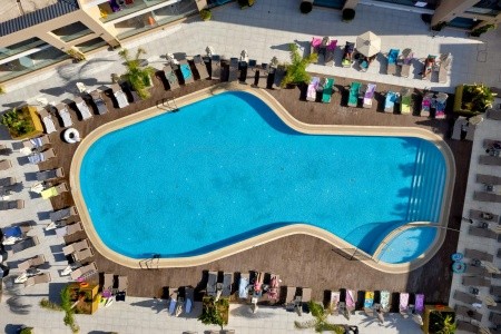 White Olive Elite - 21