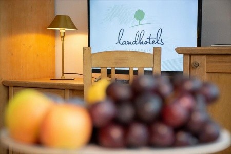 Landhotel Post (Ebensee) - 14