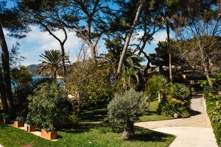 Španielsko Mallorca Secrets Mallorca Villamil Resort & Spa 5 dňový pobyt Raňajky Letecky Letisko: Praha July 2026 ( 1/07/26- 5/07/26)