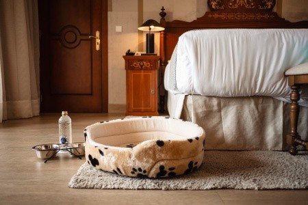 Španielsko Mallorca Secrets Mallorca Villamil Resort & Spa 5 dňový pobyt Raňajky Letecky Letisko: Praha July 2026 ( 1/07/26- 5/07/26)