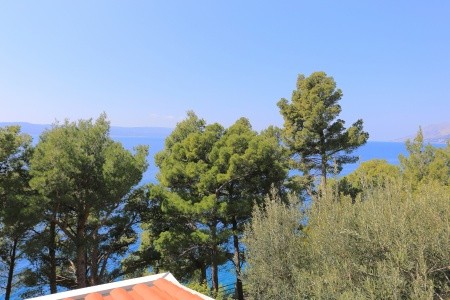 Apartmány 3298-501 - 65