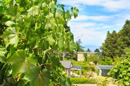 Apartmány 3298-1050 - 25