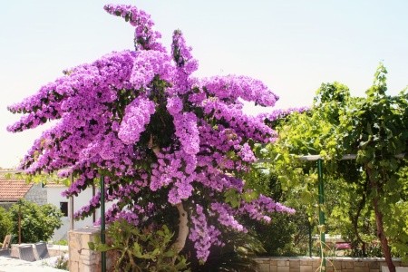 Apartmány 3298-555 - 36