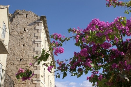 Apartmány 3298-555 - 37