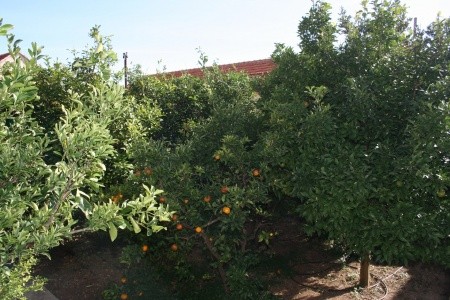 Apartmány 3298-555 - 59