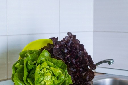 Apartmány 3298-1689 - 10