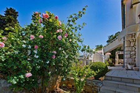 Apartmány 3298-7049 - 33