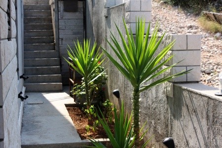 Apartmány 3298-7014 - 27