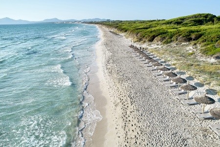 Španielsko Mallorca Iberostar Selection Albufera Park 15 dňový pobyt All Inclusive Letecky Letisko: Praha September 2026 (12/09/26-26/09/26)