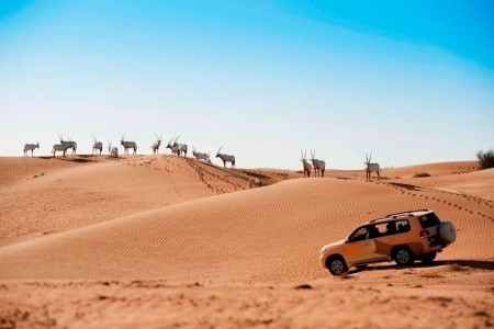 Hotel Al Maha Desert Resort