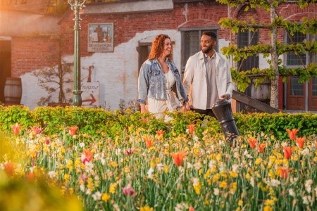 ROZKVETLÉ HOLANDSKO  země mlýnů, dřeváků a sýrů s návštěvou květinového parku KEUKENHOF - 8