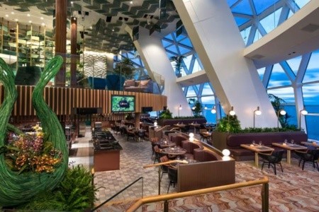 Celebrity Ascent - 4