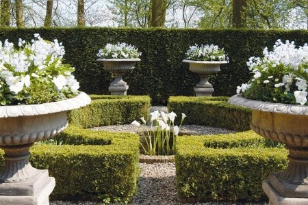 Rozkvetlé Holandsko, země mlýnů, dřeváků a sýrů - 4