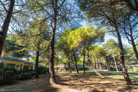 Marina Julia Family Camping Village (Ex. Albatros) (Gorizia) - 32